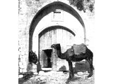 
單擊圖案，看聖經故事 - Eye of a Needle in the gate of a khan at Nazareth. The entrance to caravanserais in Palestine had a small door known as the eye for foot passengers. The huge doors are opened only for pack-animals or wheeled vehicles.
